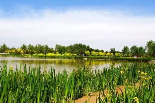 2018年北京绿化工作计划安排 简直就像开了挂