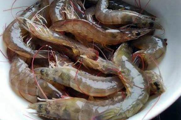 白水煮虾时,冷水下锅还是热水下锅?很多人做错