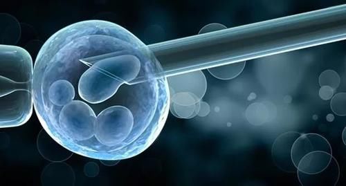 从胚胎开始甄选最佳婴儿,机器学习+DNA测试