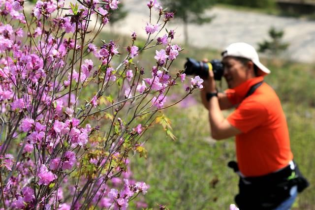 白山户外群关门砬子观映山红休闲一日游