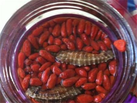 海马这样吃补肾壮阳效果最好!最好的药膳食补