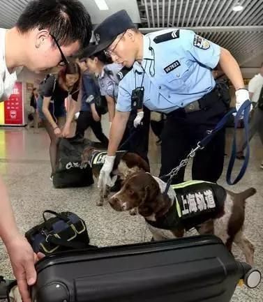 上海人，为什么不喜欢地铁安检，终于有人说出了真相……