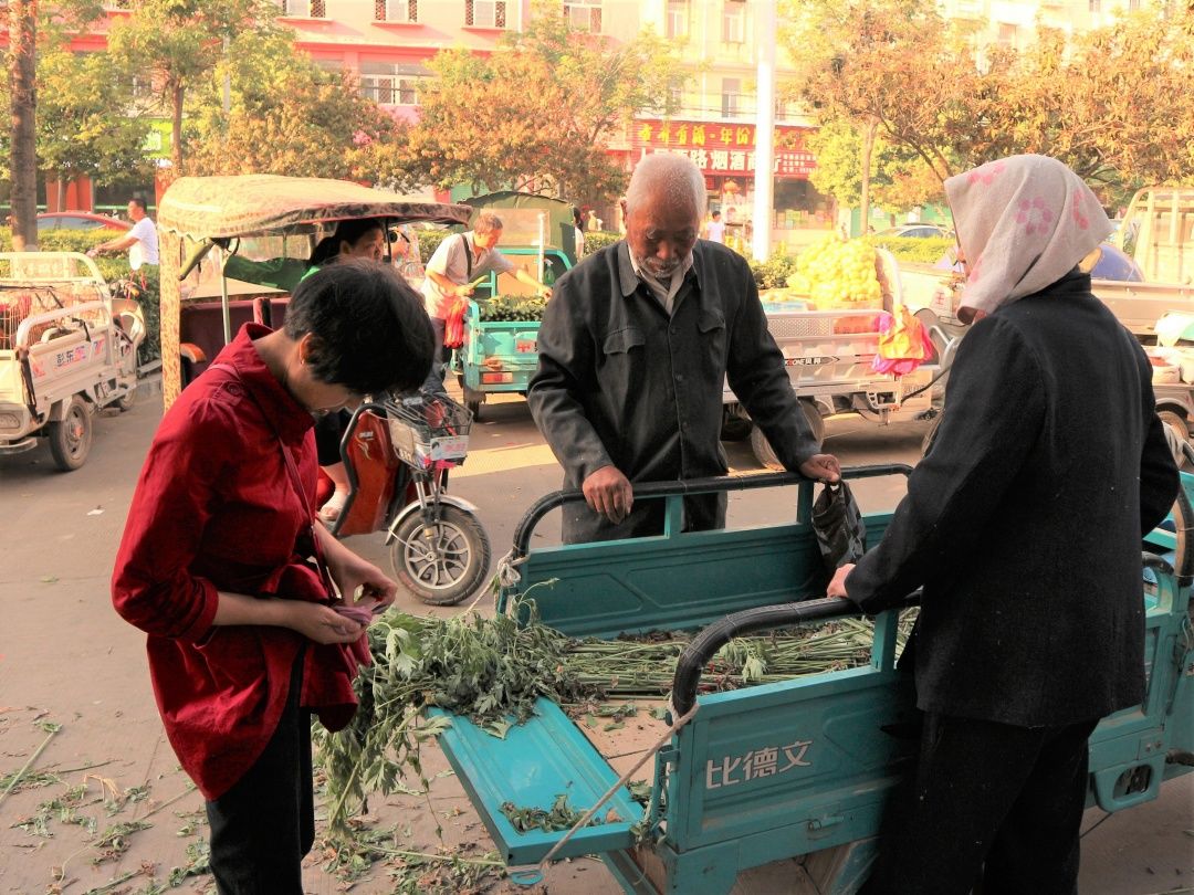[热点]亳州农村七旬老人进城卖野草,两元3棵,为什么城