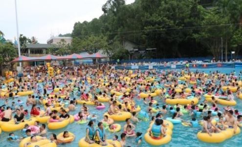 钢琴教师资格证