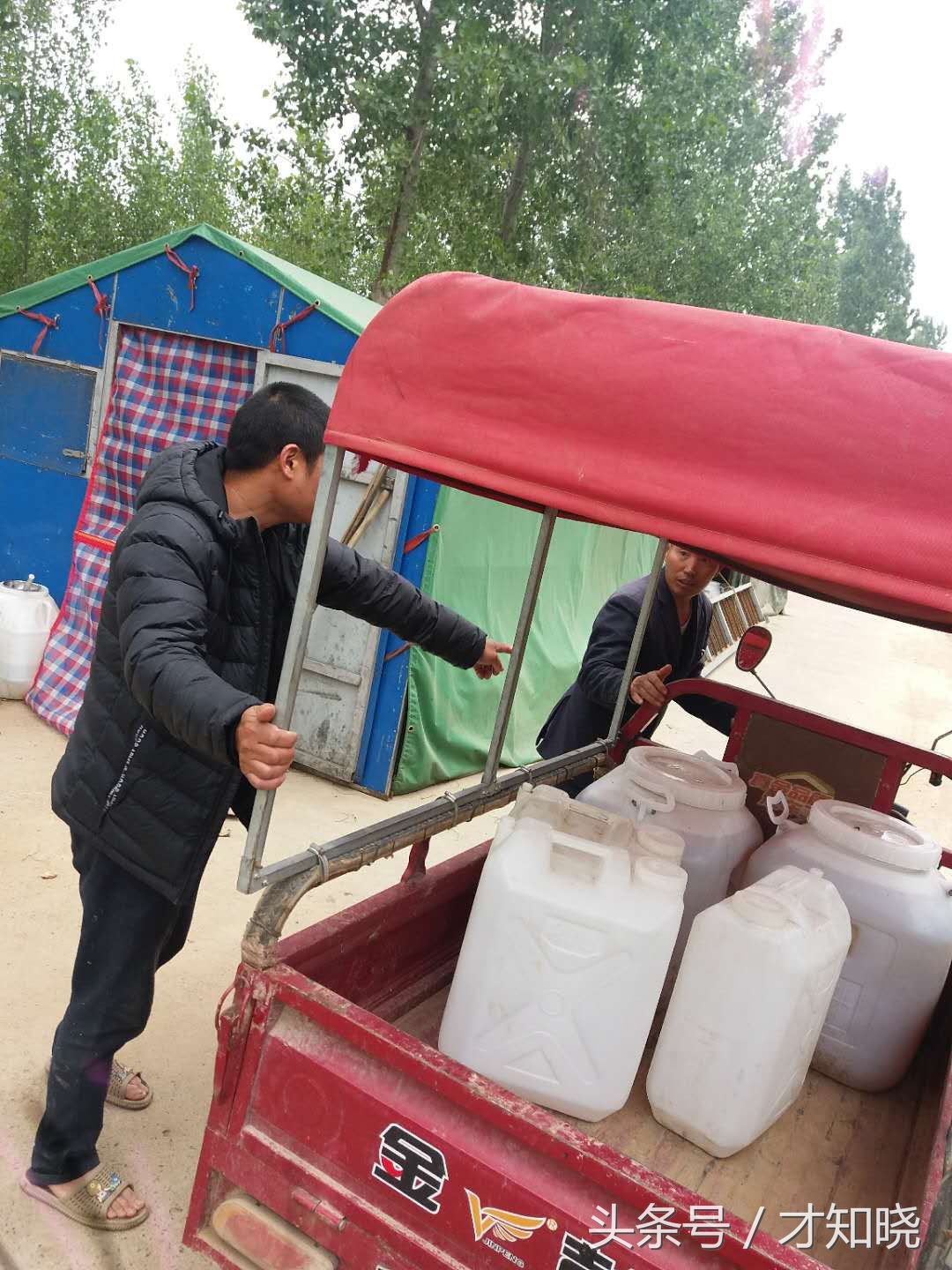 0公里之外的浙江养蜂人 在豫北农村售蜂王浆 