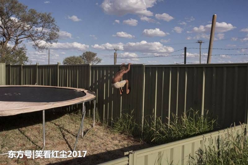 来自澳大利亚的有趣照片 来自澳洲的那些趣事，袋鼠乱穿马路，蛇