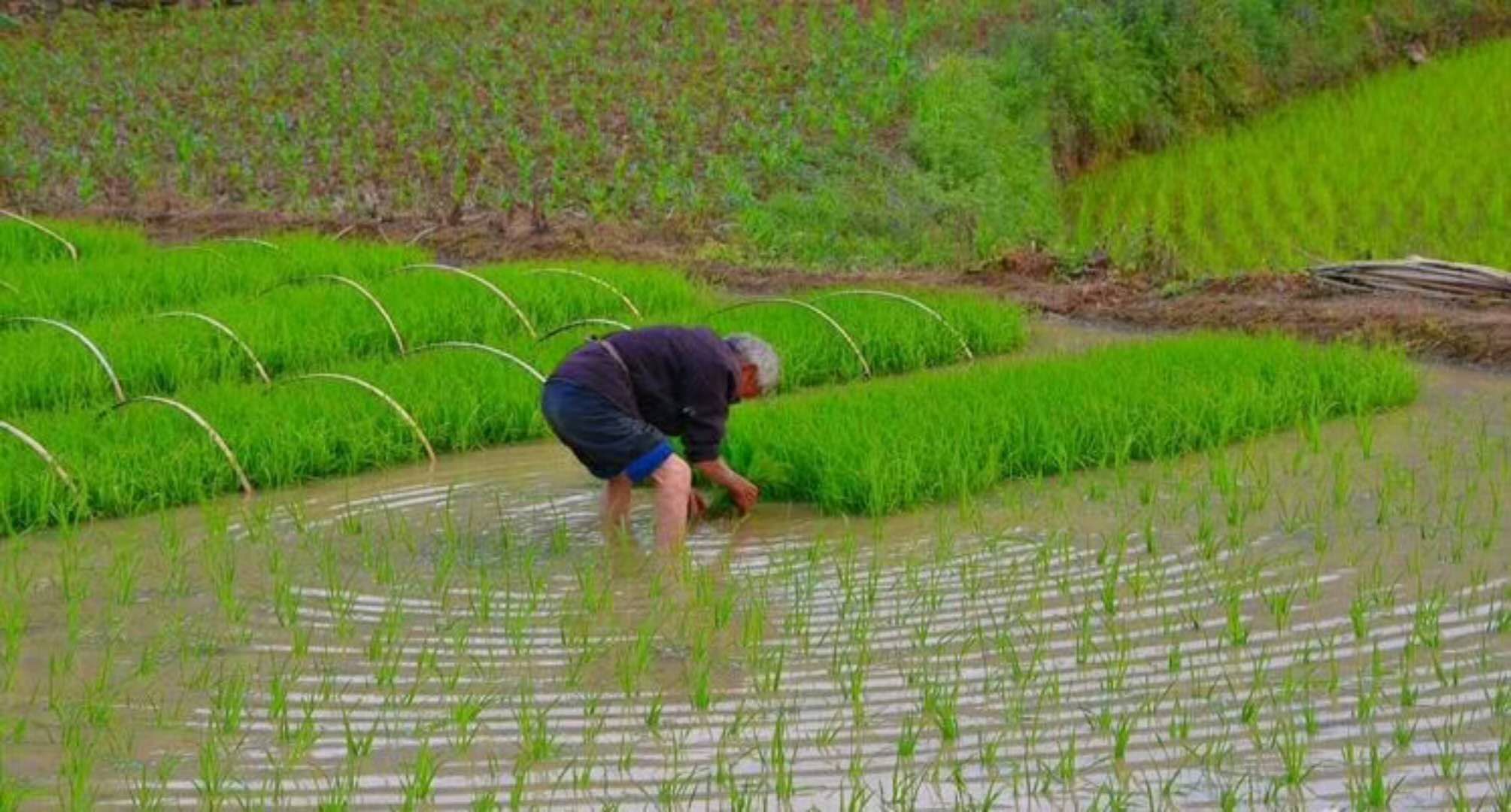 此情此景，距离今天的孩子究竟有多远?