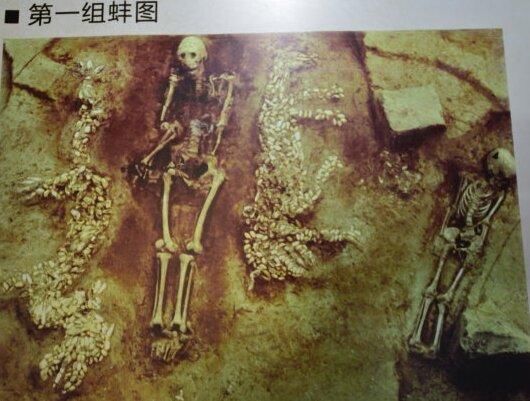 从推土机下抢救出来的“中华第一龙”和世界上最早的天文图