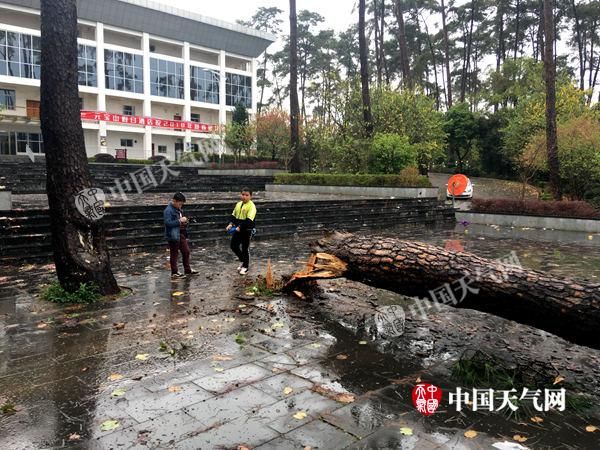 广西多地出现强对流天气 给公众生活带来不利