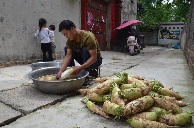 河南小伙一年四季只卖这种菜，6块钱一碗，每天400碗不够卖