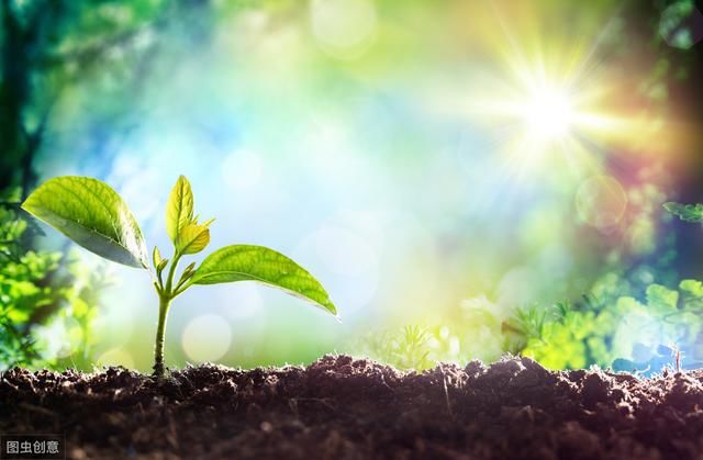 关于五一劳动节的话,祝福的话语,句句暖人心!