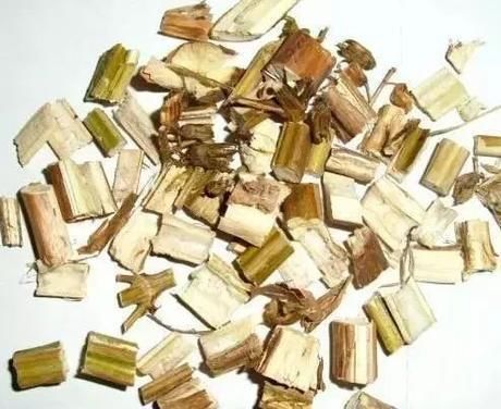 毫不起眼的紫苏,没想到它“全身都是宝”!一定要让更多的人知道