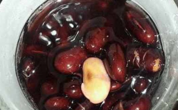 吃什么东西降胆固醇最快 t014b8687b41625fe71.jpg