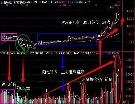 如何打破新手炒股必亏的魔咒？