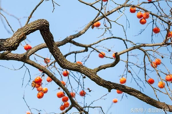 只有今生,没有来世,请好好珍惜这一世!