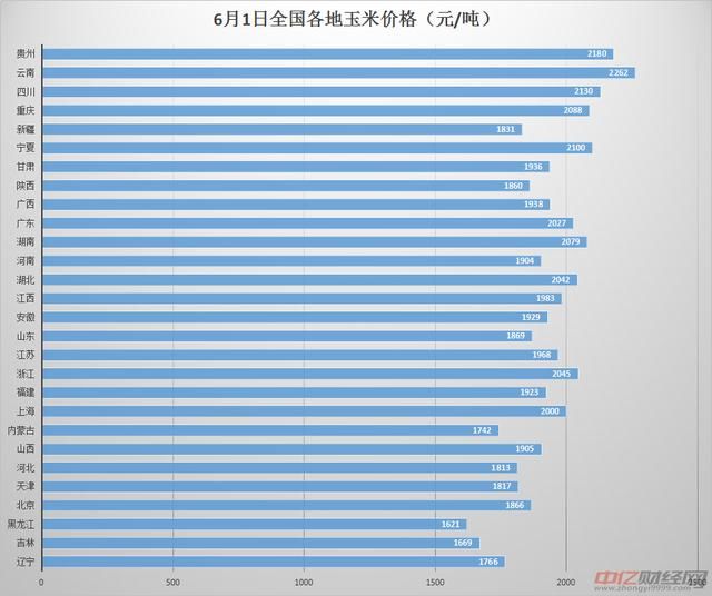 6.1玉米今日价格走势预测，玉米多少钱一斤？