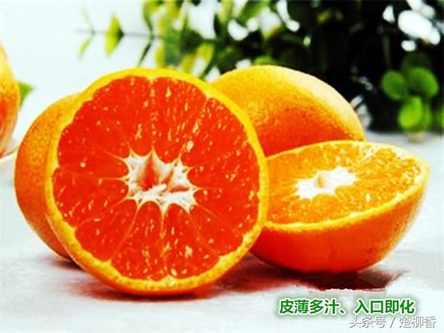 门外汉种出60元\/公斤的土豪橘,亩产值高达20