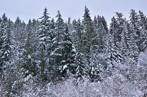 辽宁地区大面积降雪，这可是辽宁凌源冬天的第一场雪