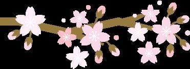 5000人一起徒步看樱花？！人从众，花美，人更美！