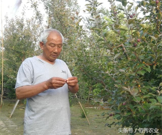 农村人坚持种植20年，村庄变世外桃源，赚钱后的邻居乐坏了