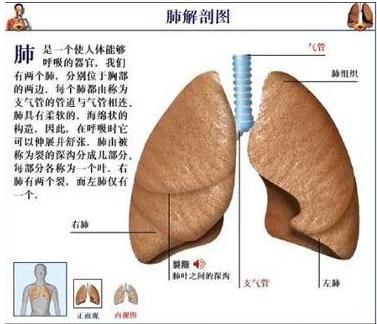 骨刺的原理_根据骨刺产生的原理,错误的力学分布是加速其发生发展的罪魁祸首,所以在日常生