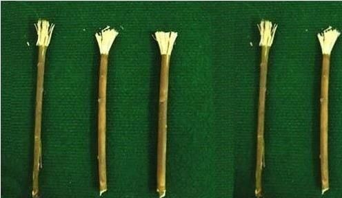 人用什么刷牙?日本有种方法听起来就感觉恶心