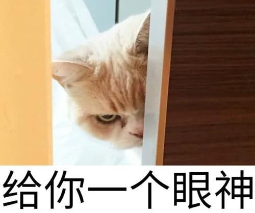 超萌就是表情:本动态图片傲娇,皮到你怀疑人微信聊天宠物狼表情大人图片
