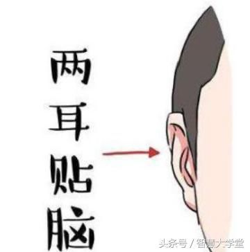 生活中不乏有“耳大有福”之说法，那么相学中什么耳相为最佳？