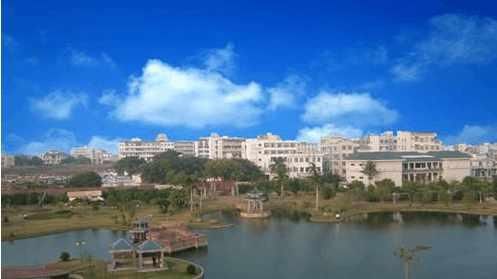 徐闻gdp_海洋生态建设托起徐闻 蓝色梦(2)