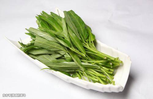 优质有机空心菜 t014d1f3bf95d912de2.jpg