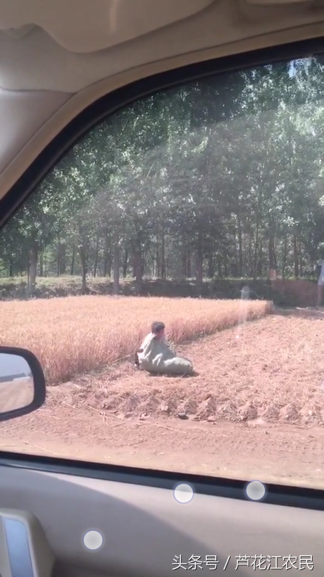 麦收季节，网友在农村拍摄的这组画面让人心寒