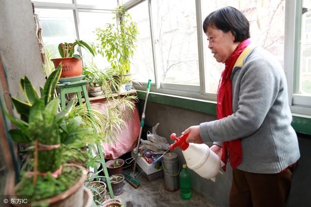 初三婆婆拦着不让回娘家，小姑沮丧老公乐，我爸妈还来了，闹哪样