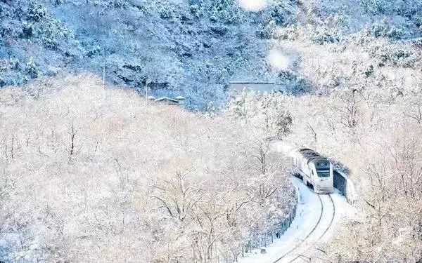 别去日本了！北京这趟6元小火车，带你穿越绝美樱花！沿途风景惊