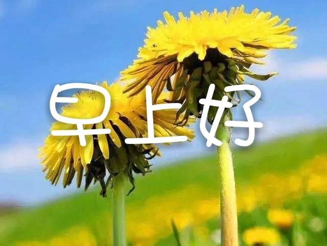 早安!人生,万事看淡,一切安好,放宽心态,就是好