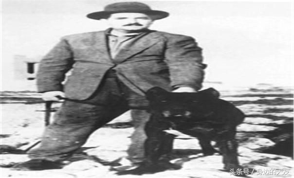 历史悠久的猛犬老照片,护卫卡斯罗犬的见证