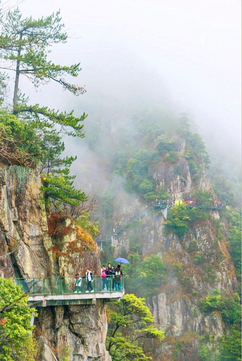 终于来了!浙江最长高空玻璃栈道开放!敢走我敬你是条汉子!