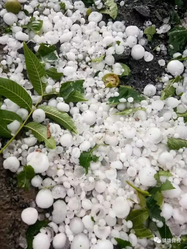 颤抖吧云南人！狂风！暴雨！“鸡蛋大”的冰雹！接下来的天气……