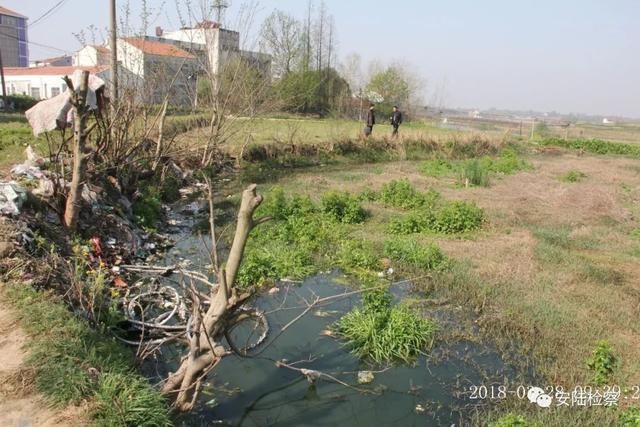 2018\/6\/11安陆:一纸检察建议 还民一塘清澈