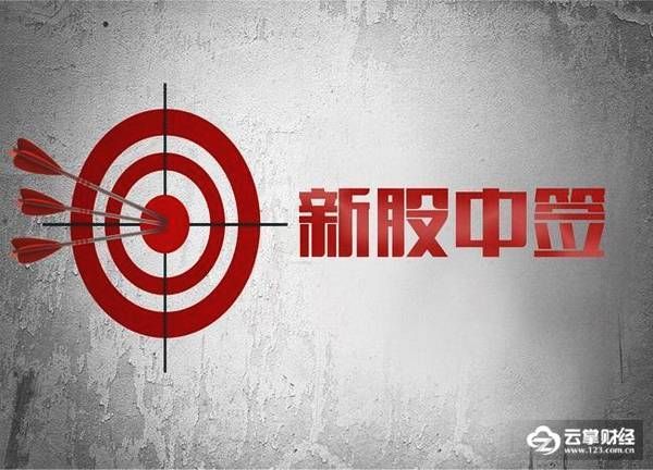 天地数码等三只新股网上发行中签率公布