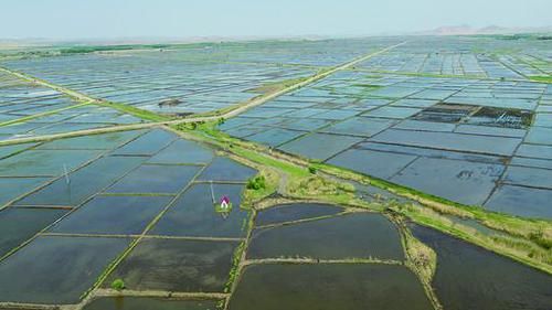 投资公司和投资发展有限公司