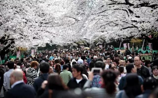 日本对华发放签证450万:个人游签证首次超过团