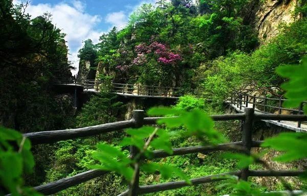 千名香客朝拜老子，助力2018老君山仙境朝圣节!