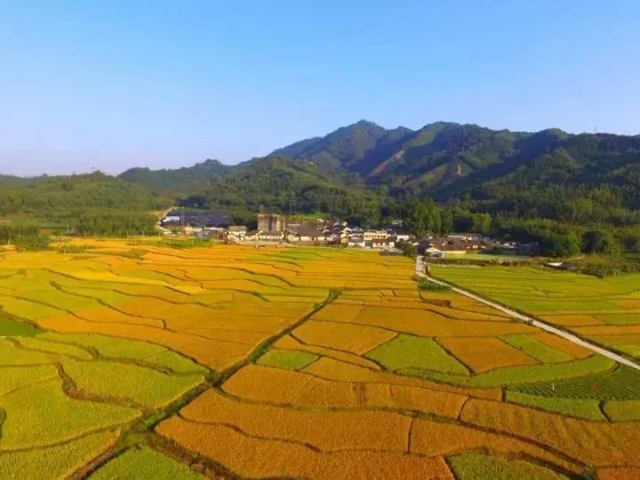 “深呼吸，闭上你的眼睛”，惠州清新小城曝光啦...