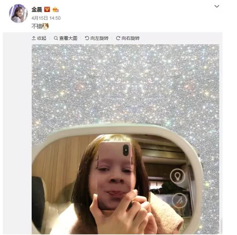 贾乃亮金晨恋情?同款手机壳、同款猫咪,还深夜