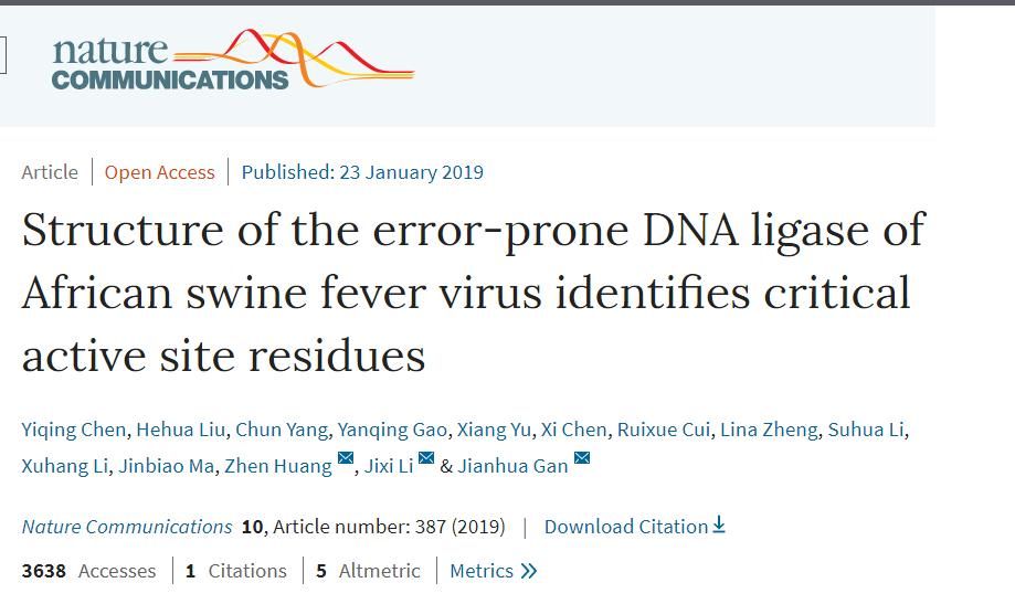 非洲猪瘟病毒的基因