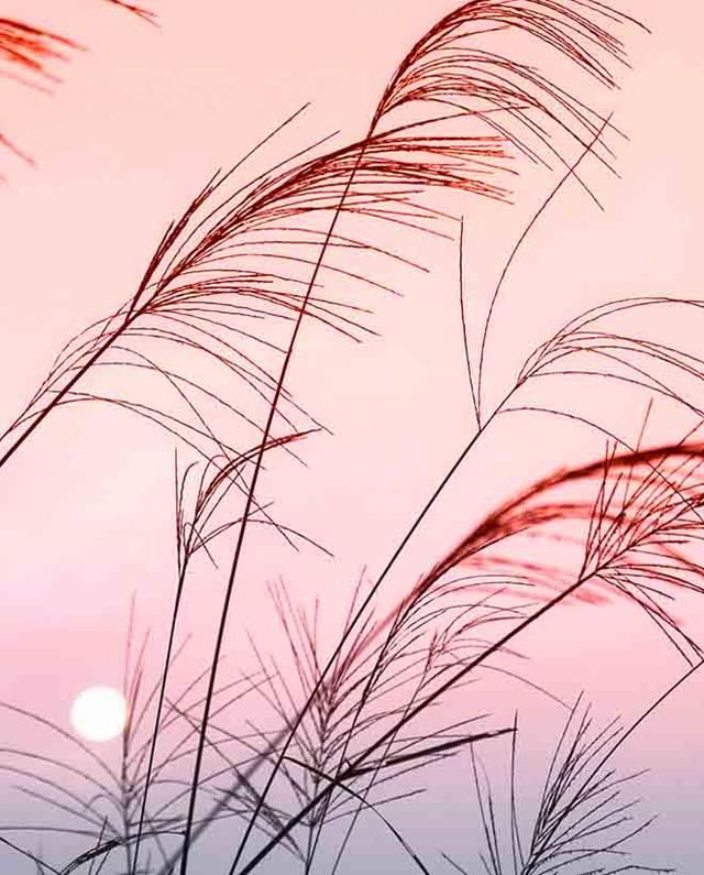 忘不掉一个人，最是煎熬