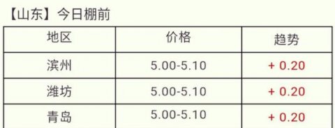 毛鸡行情今日价格毛鸡还会涨吗