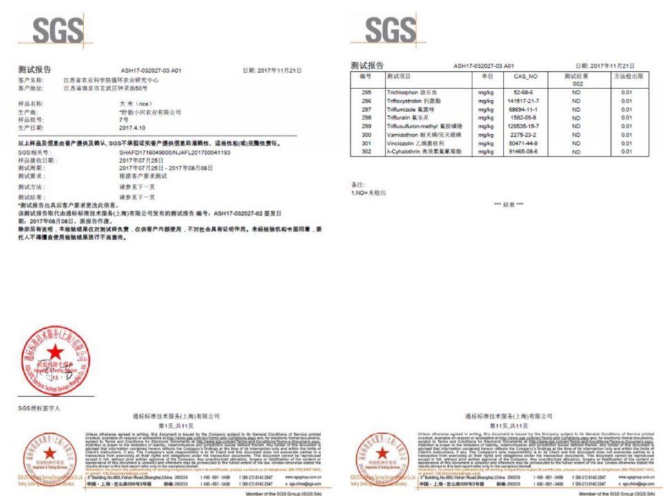 北大硕士回乡养龙虾，年销5000万，他说做农业一点都不难