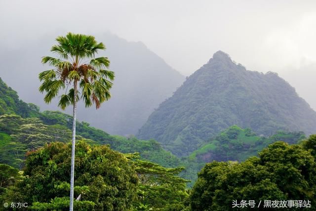 故事：男子深夜遇险被大伯救下，父亲却告诉儿子自己从未有过哥哥