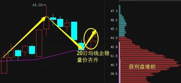 香港一女教授说破股市:27年坚持用\＂集合竞价\＂选股,字字珠玑永